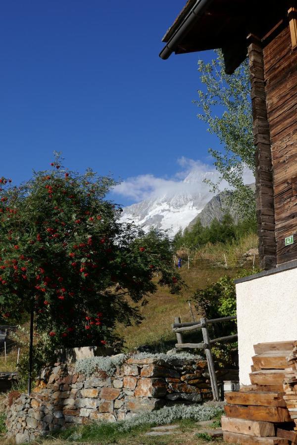 Chalet Birkhahn サース フェー エクステリア 写真
