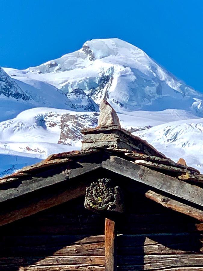 Chalet Birkhahn サース フェー エクステリア 写真