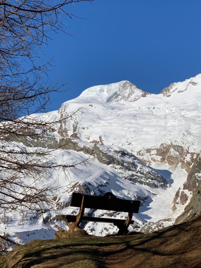 Chalet Birkhahn サース フェー エクステリア 写真