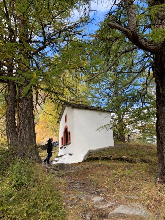 Chalet Birkhahn サース フェー エクステリア 写真