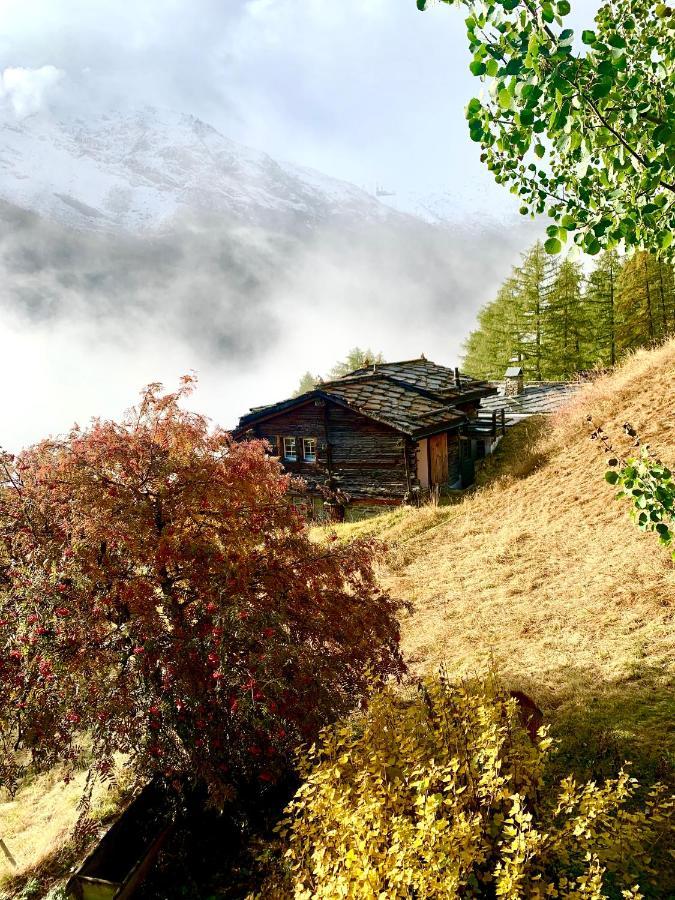 Chalet Birkhahn サース フェー エクステリア 写真