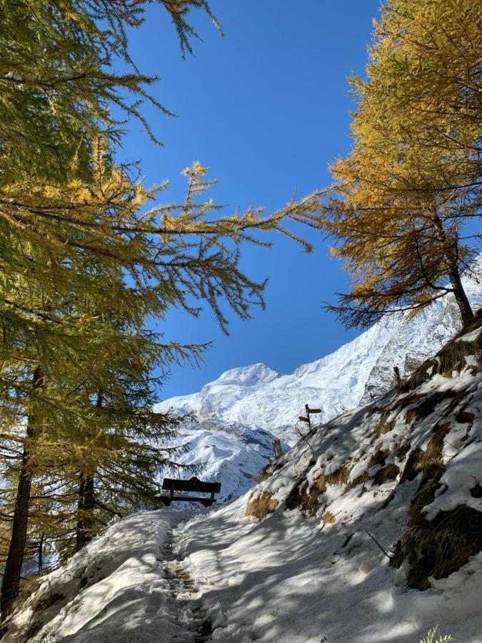 Chalet Birkhahn サース フェー エクステリア 写真