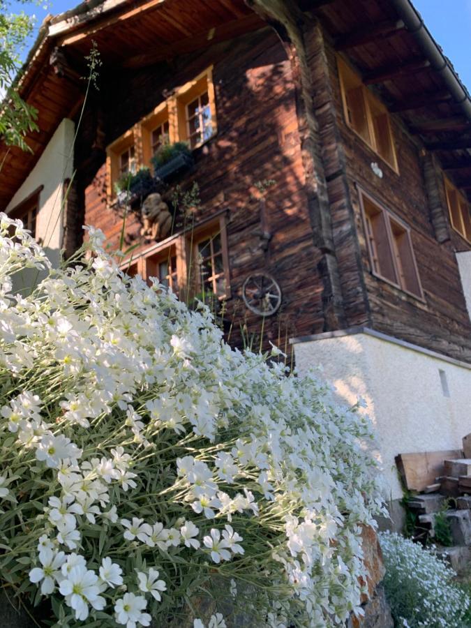 Chalet Birkhahn サース フェー エクステリア 写真
