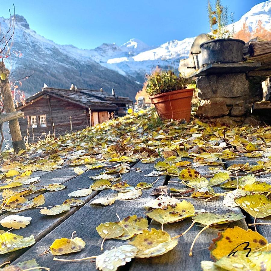 Chalet Birkhahn サース フェー エクステリア 写真